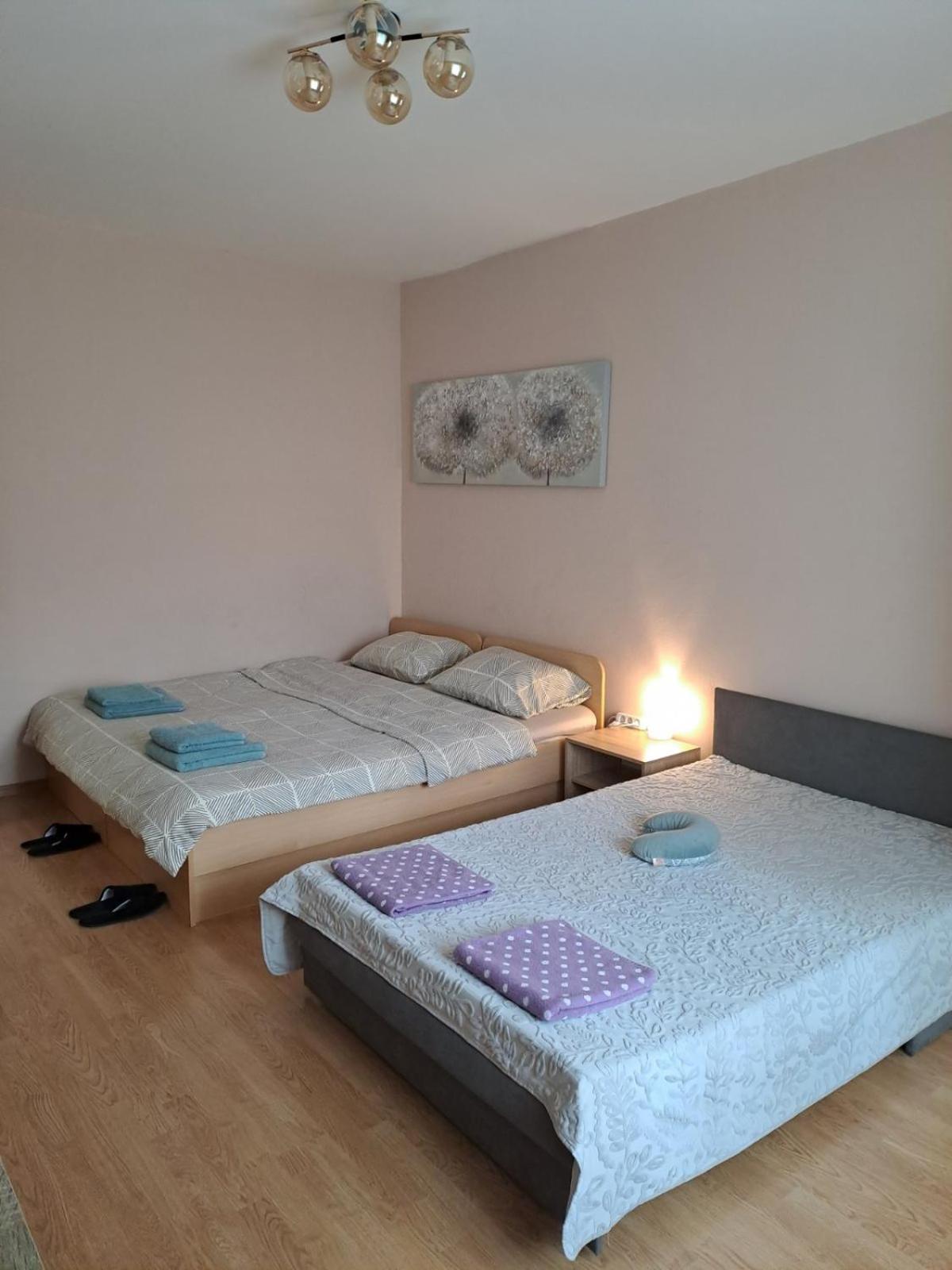 Levskig 10 Min From Airport And Centre * Sofia